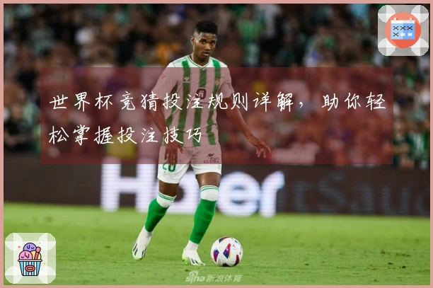 世界杯竞猜投注规则详解，助你轻松掌握投注技巧