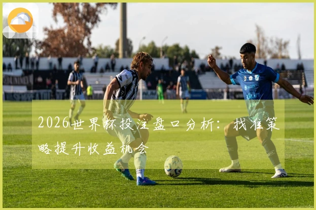 2026世界杯投注盘口分析：找准策略提升收益机会
