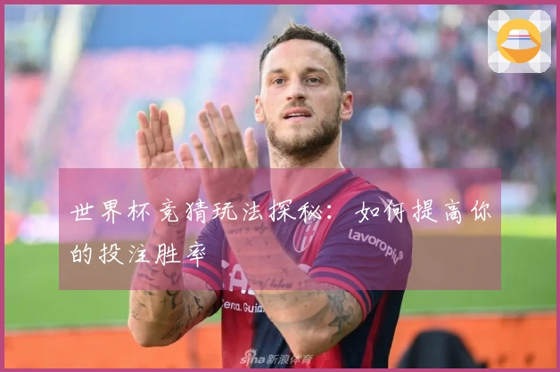世界杯竞猜玩法探秘：如何提高你的投注胜率