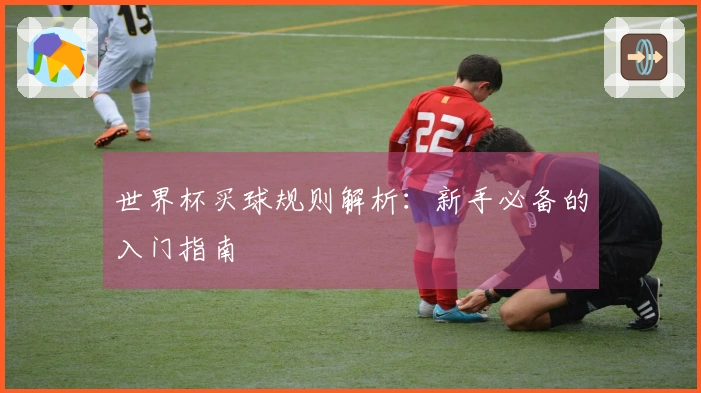 世界杯买球规则解析：新手必备的入门指南