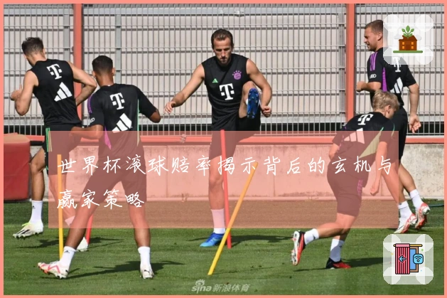 世界杯滚球赔率揭示背后的玄机与赢家策略