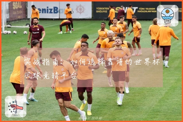实战指南：如何选择靠谱的世界杯买球竞猜平台