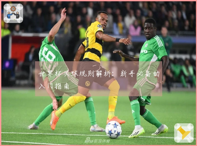 世界杯买球规则解析：新手必备的入门指南
